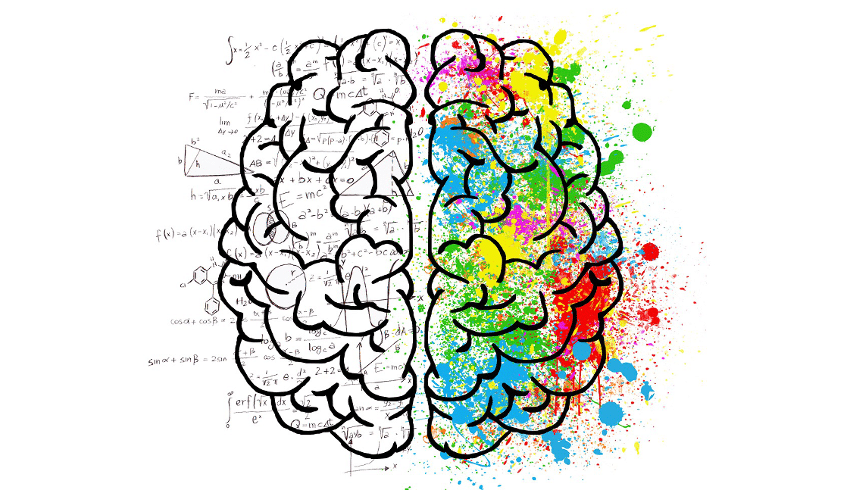 Cosa diventa Virale sui Social? C’è una parte del cervello che lo decide!