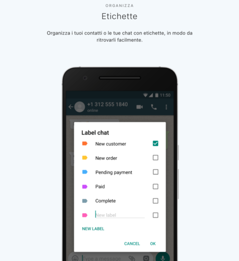 Etichette WhatsApp Business - Account Business WhatsApp