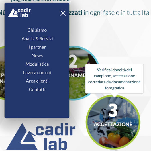 CadirLab 02