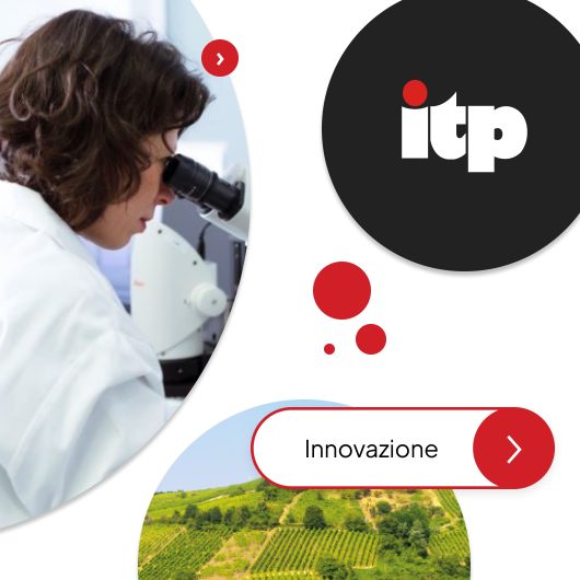 itpcompany 7
