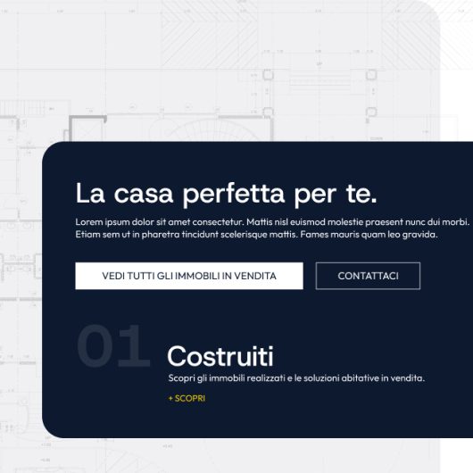 Costruzioni Delmonte Restyling 2