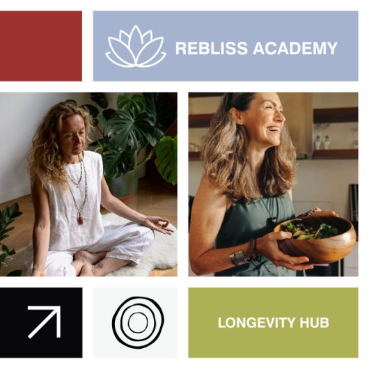 Rebliss Brand Guide